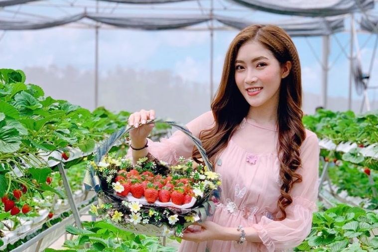 Tour Đà Lạt - Khám Phá những điểm checkin tại Đà Lạt ngàn hoa